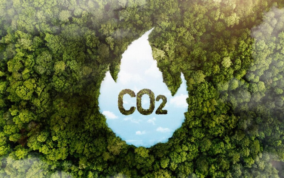 Sostenibilità con energia verde e CO2 compensate
